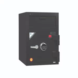 DS-110 Safe