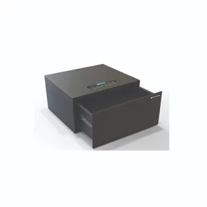 DS-20 Safe