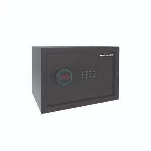 SE-25 Safe