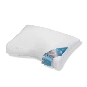 Vandyck Allergy Free Pillow