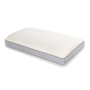 Orthotherapy Bamboo Charcoal Pillow