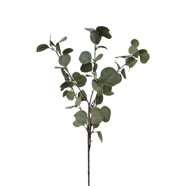 EUCALYPTUS SPRAY