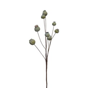 PAPAVER DRY GREEN