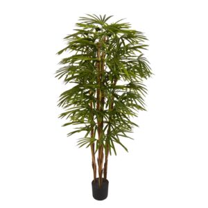 PLANT 4T RAPIS PALM