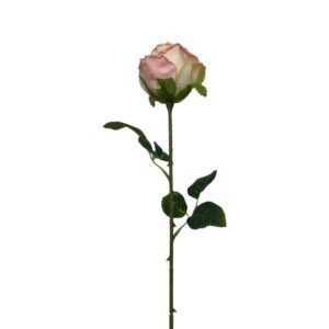 ROSE SINGLE PINK