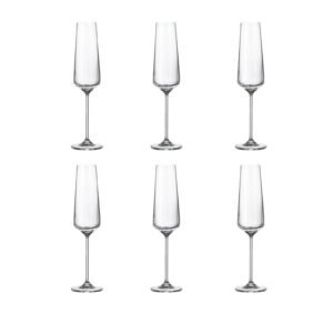 SORA Champagne Glasses