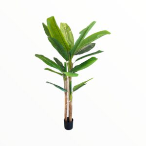 BANANA PLANT 230 CM