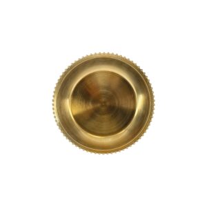 CHARGER PLATE PEARL GOLD