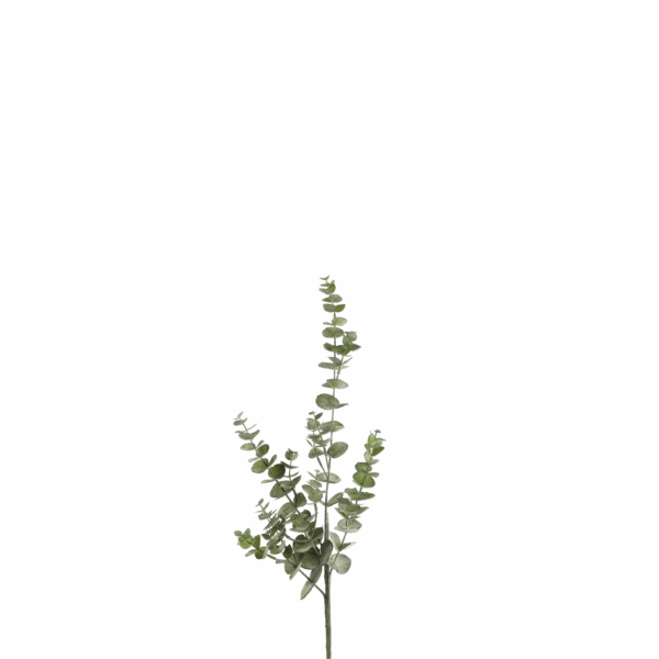 EUCALYPTUS GREEN