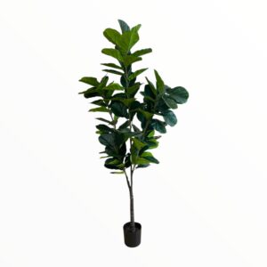 MONSTERA PLANT 210 CM