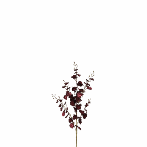 TRACHEOPHYTES PURPLE 92 CM