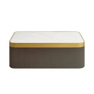 CG Gold-Wood Rectangle Centre Table