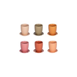 S6 CUPS AND SAUCERS AGRA 10 CL