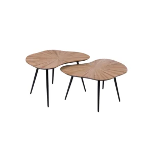 TABLES ORGA CAMEL Set 2